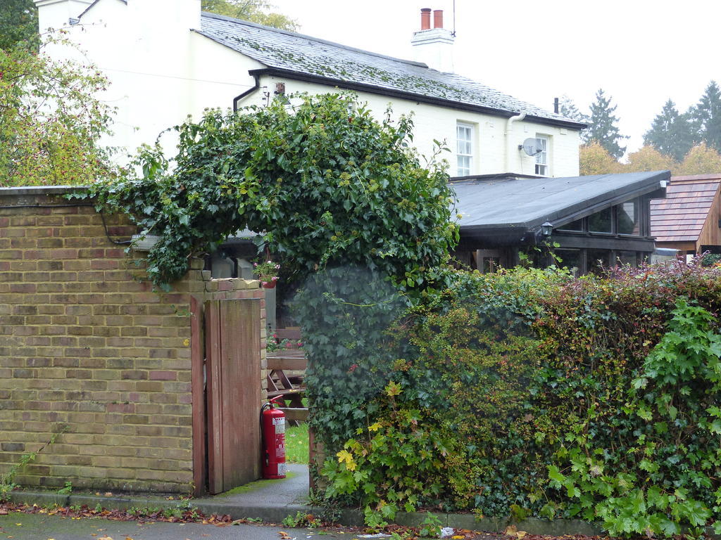 The Sun Inn Englefield Green Exteriör bild